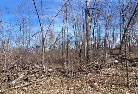 lot4 Greatwood Ln, Beaver Twp, WI 54889