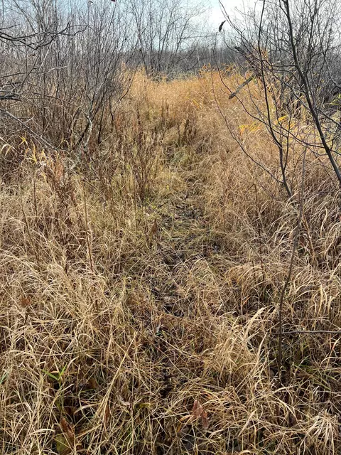 tbd Highway 21, Embarrass, MN 55732 photo 18