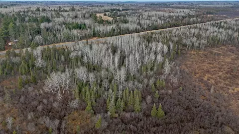 tbd Highway 21, Embarrass, MN 55732 photo 21