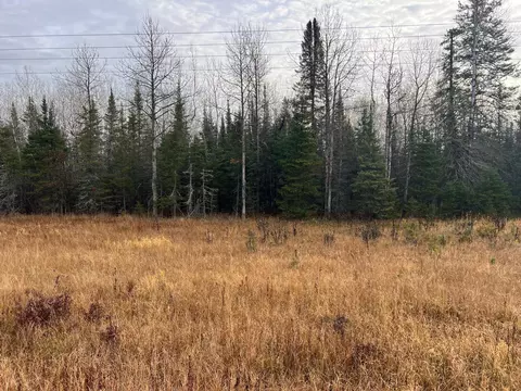 tbd Highway 21, Embarrass, MN 55732 photo 29