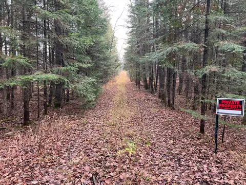 tbd Highway 21, Embarrass, MN 55732 photo 2