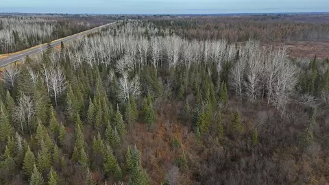 tbd Highway 21, Embarrass, MN 55732 photo 25
