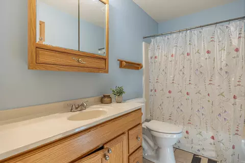 Bath - 2359 Webb Forest Ct NW, Hackensack, MN 56452 photo 1 of 2