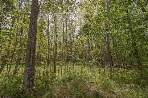 Exterior - 2359 Webb Forest Ct NW, Hackensack, MN 56452 photo 10 of 10