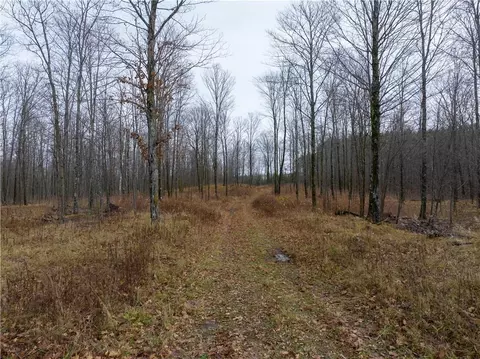 53 Acres Otto Olson Rd, Grand View, WI 54839