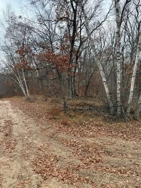 Nnn Dell Marie Place, Breezy Point, MN 56472