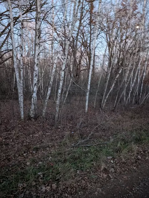 lot A Woodmor Rd, Brook Park, MN 55007