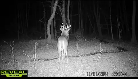 tbd Cr-2, Brainerd, MN 56401