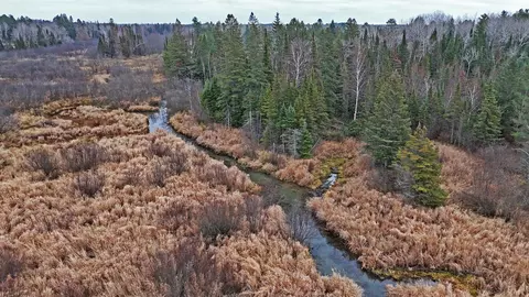 tbd Tbd County Road 444, Hibbing, MN 55746