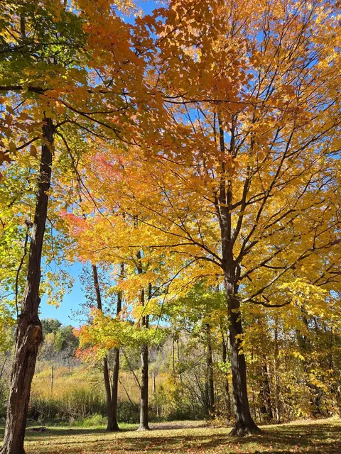tbd Fish Trap Lake Dr, Cushing, MN 56473