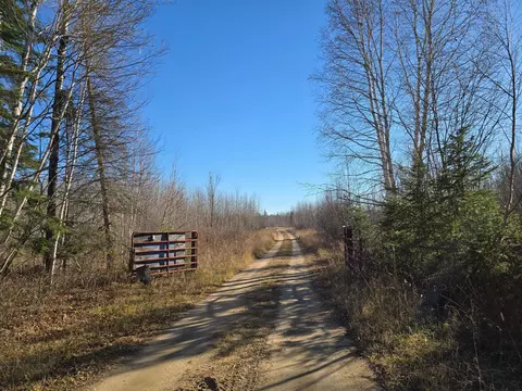tbd 40 Acres County Rd 119, International Falls, MN 56649