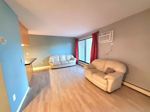 4110 Rahn Rd #215, Eagan, MN 55122 photo 11