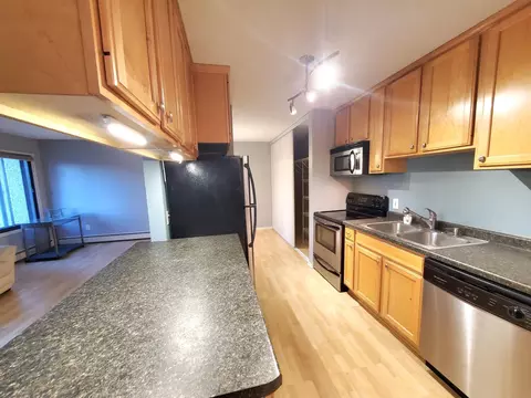 4110 Rahn Rd #215, Eagan, MN 55122 photo 14