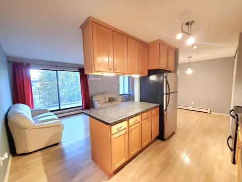 4110 Rahn Rd #215, Eagan, MN 55122
