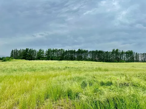 2505 Pioneer Trl, Medina, MN 55340