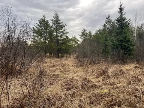 tbd Town Line Rd, Aurora, MN 55705 photo 49