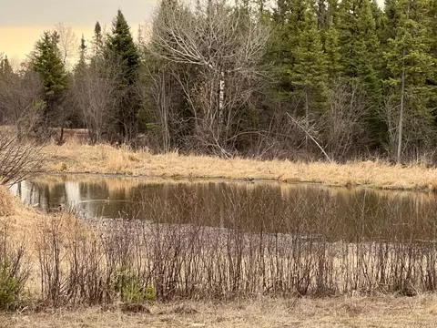 tbd Town Line Rd, Aurora, MN 55705 photo 6