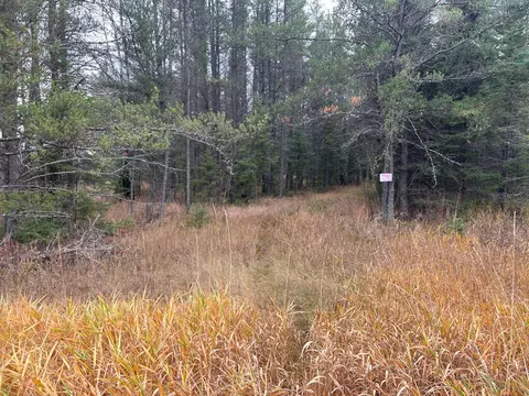 tbd Town Line Rd, Aurora, MN 55705 photo 4