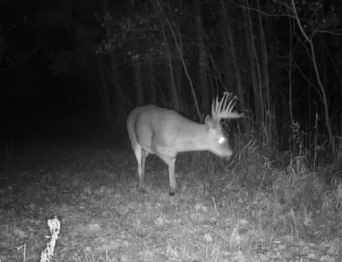 tbd 109th Ave, Red Eye Twp, MN 56477