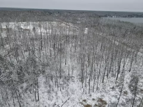 Forestry Rd Forestry Rd, Grand Rapids, MN 55709