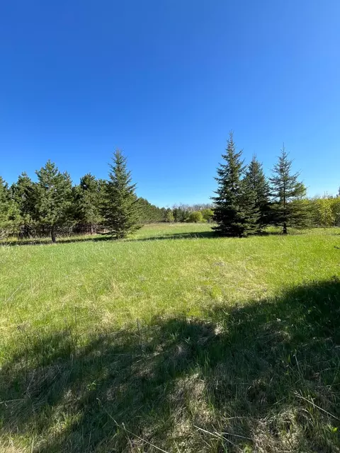 lot2 Tbd 330th St, Warroad, MN 56763