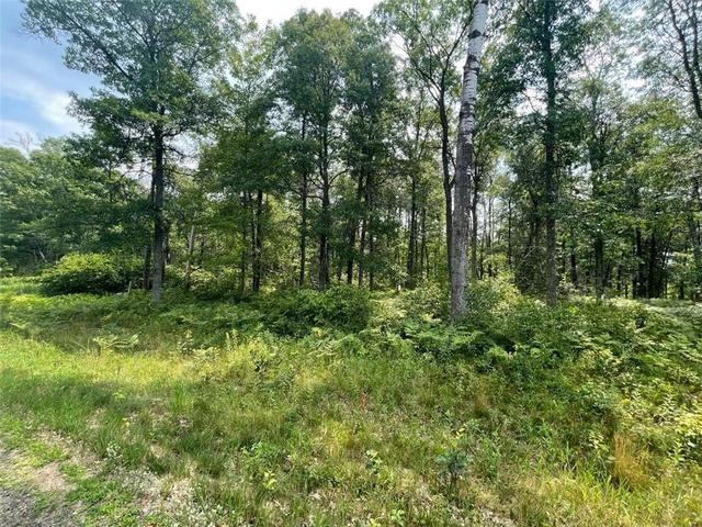 lot12 Blk 5 Scenic Overlook, Breezy Point, MN 56472
