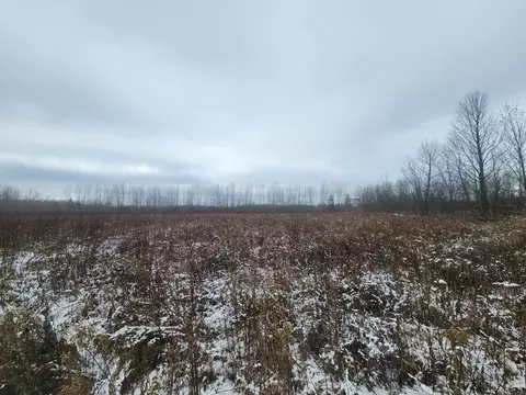 Nnn 650th Street, River Falls, WI 54022