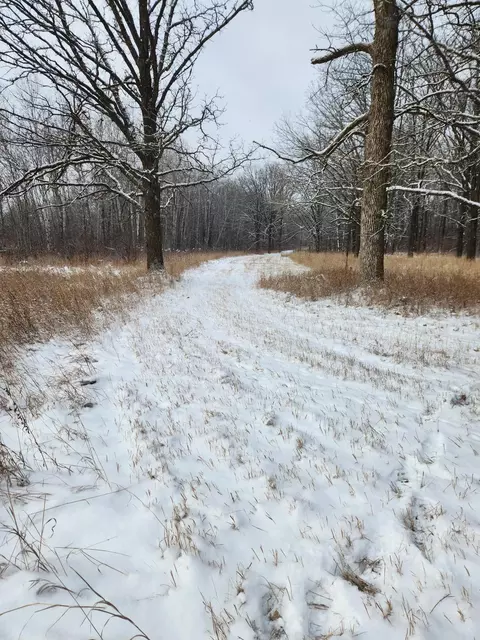 tbd 149th Ave, Sebeka, MN 56477 photo 6