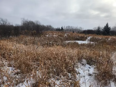 tbd 149th Ave, Sebeka, MN 56477 photo 5