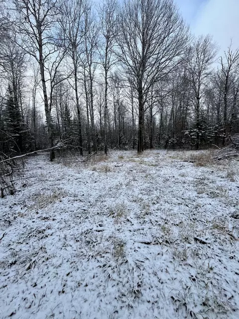 tbd Pinewood Ln NW, Angle Inlet, MN 56711