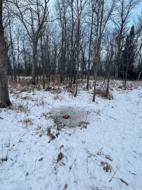 2597 County Road O, Maple, WI 54873 photo 15