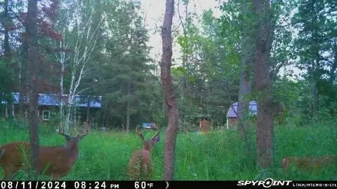 2597 County Road O, Maple, WI 54873 photo 24