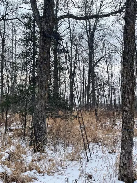 2597 County Road O, Maple, WI 54873 photo 4