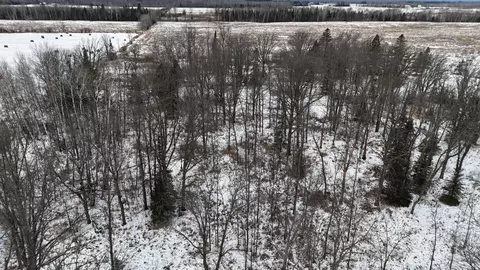 2597 County Road O, Maple, WI 54873 photo 38