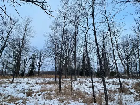 2597 County Road O, Maple, WI 54873 photo 16