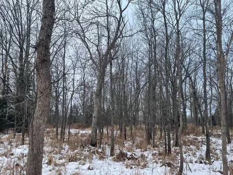 2597 County Road O, Maple, WI 54873 photo 19
