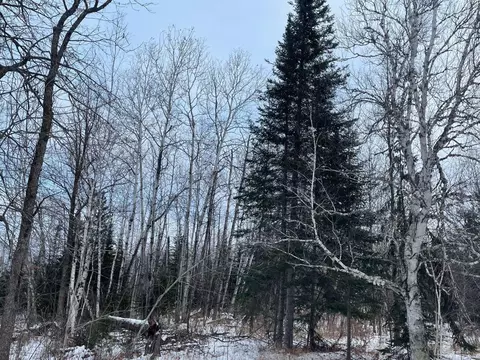 2597 County Road O, Maple, WI 54873 photo 18