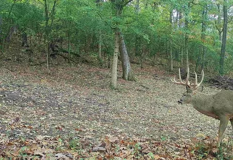 0 Independence, Independence, WI 54747 photo 38