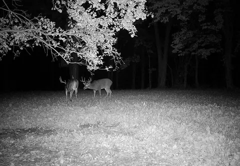 0 Independence, Independence, WI 54747 photo 39
