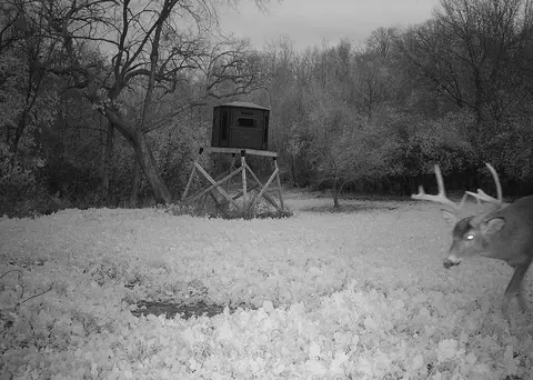0 Independence, Independence, WI 54747 photo 15