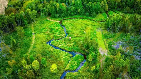 lot3 N Blackduck Lake Rd NE, Hines, MN 56647