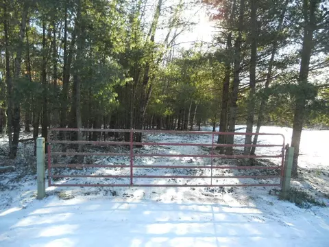 Nnn Pine Mountain Lake Road Nw, Backus, MN 56435