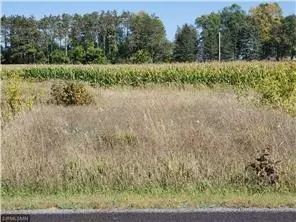 1685 178th Stdalton Farm Rd #LOT 25, Hammond, WI 54015