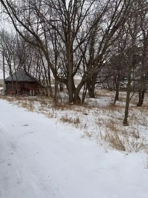 42461 380th Ave, Dent, MN 56528 photo 5