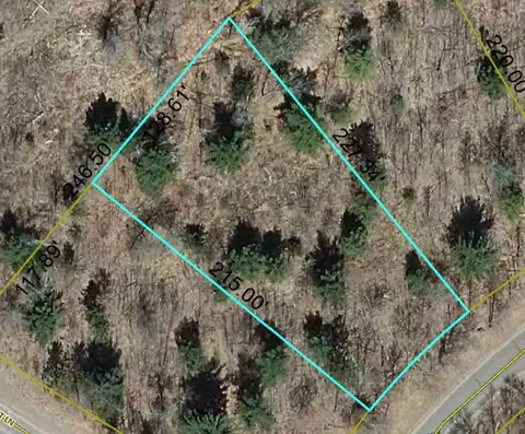 lot18 Loon Lake Rd, Danbury, WI 54830