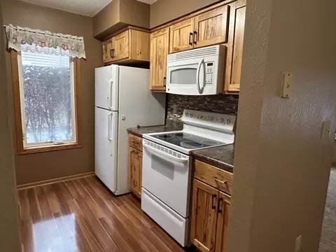1009 Olena Ave SE, Willmar, MN 56201 photo 9