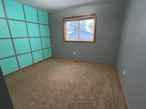 1009 Olena Ave SE, Willmar, MN 56201 photo 20