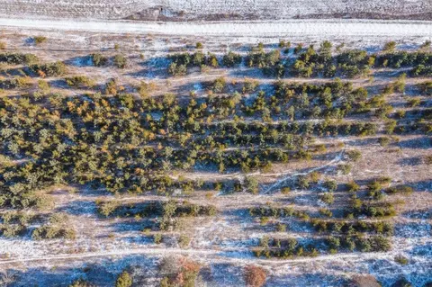 tbd Jasperwood Dr, Baxter, MN 56425 photo 31