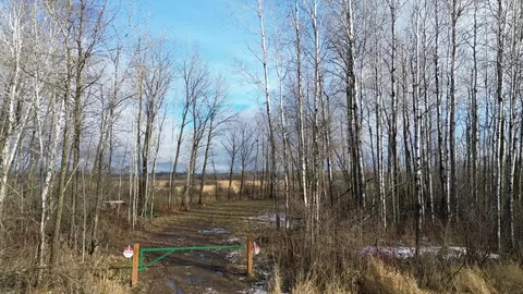 20 Acres 360th St, Aitkin, MN 56431
