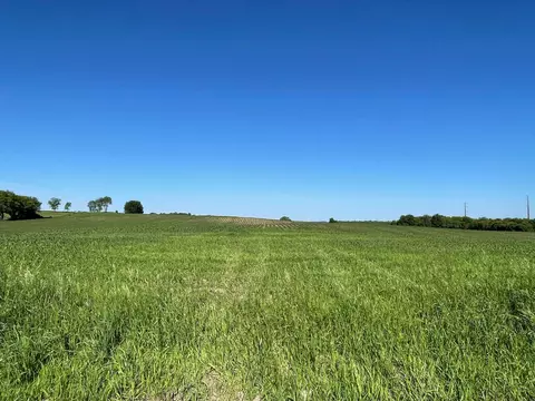 Nnnn New Haven Rd Nw, Pine Island, MN 55963